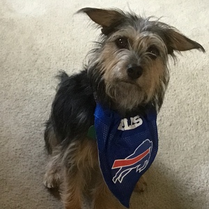 Fundraising Page: MaryLynn Ferington